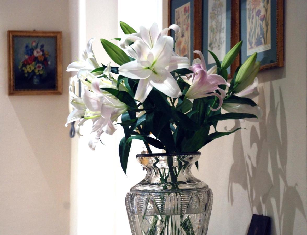 Bed And Breakfast Flowers Genoa Ngoại thất bức ảnh